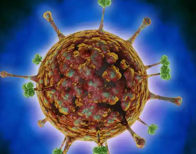 印度报告尼帕病毒病例 马来西亚手套股大涨