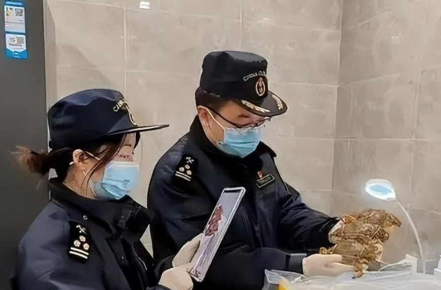 韩国3月前20天芯片出口同比飙升163.9%